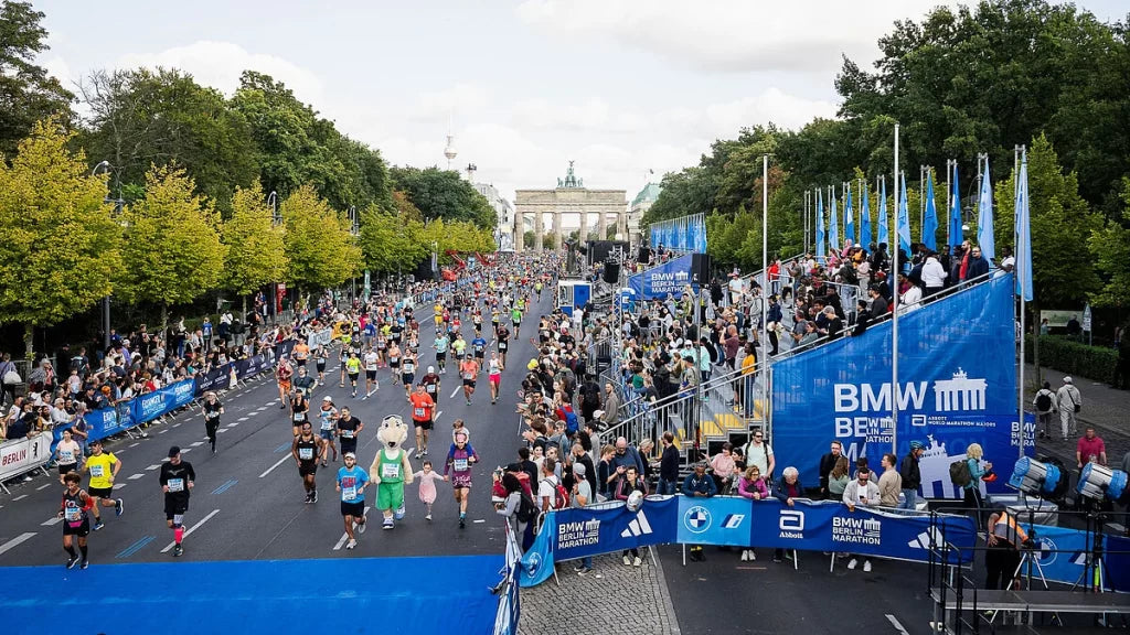 Berlin Marathon 2024 Preview