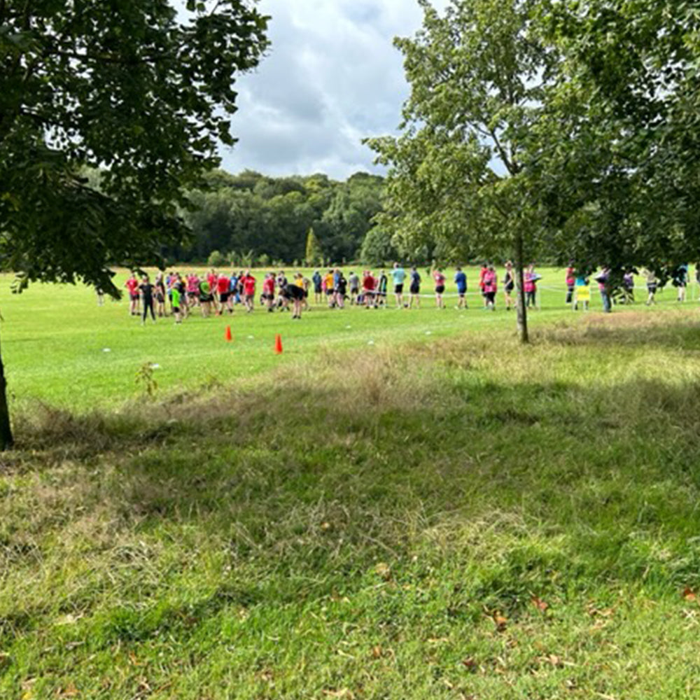 Photograph of Blaise Castle Parkrun showing a group of people running in a grassy field with trees and a cloudy sky.